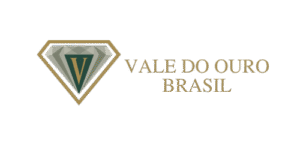 Logo Horizontal Vale Do Ouro Brasil